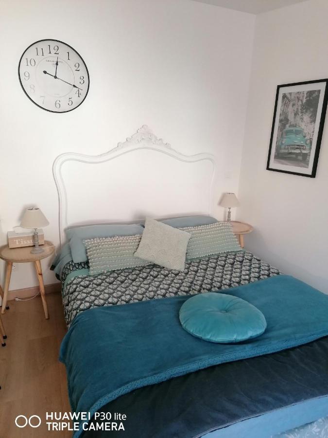 Charmant Logement En Plein Centre De Macon Apartment Luaran gambar