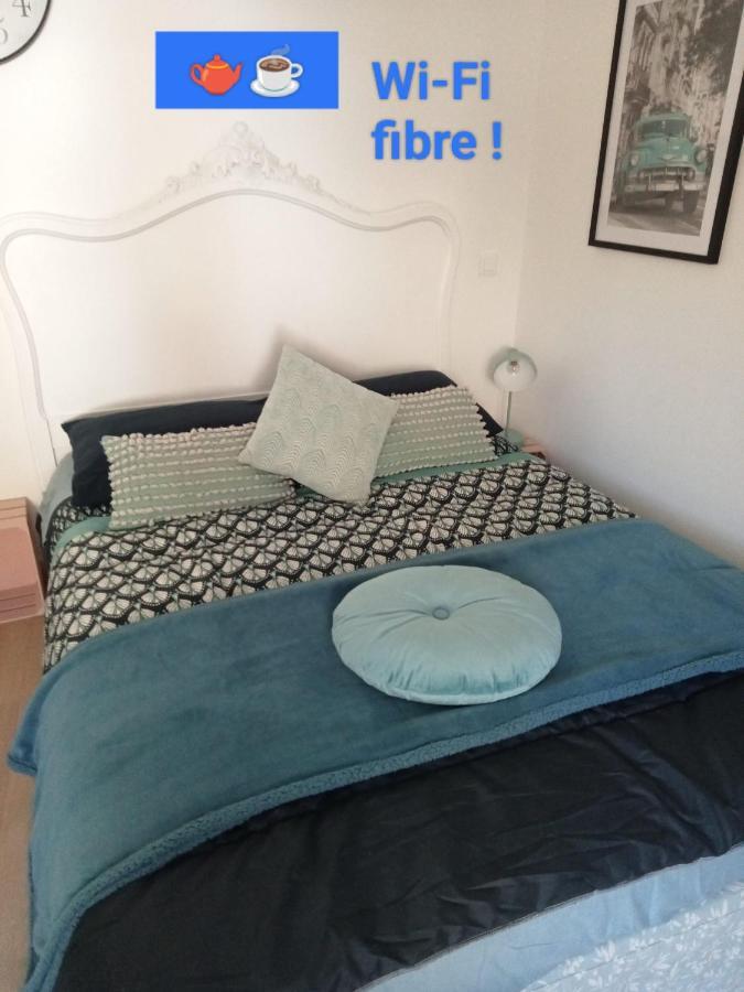 Charmant Logement En Plein Centre De Macon Apartment Luaran gambar